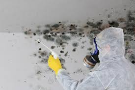 Best Mold Remediation for Healthcare Facilities  in Hoschton, GA